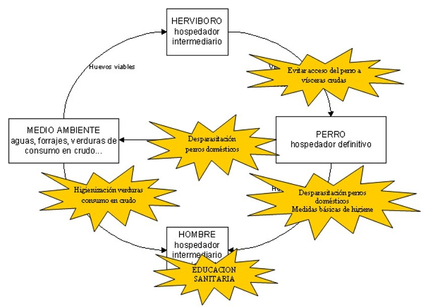 Medidas de control de Hidatidosis-Equinococosis